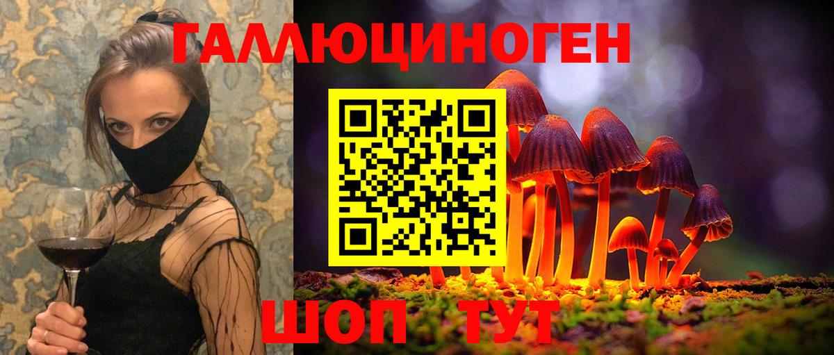 Псилоцибиновые грибы Psilocybine cubensis  Галлюциногенные грибы прущие грибы  Кизляр  Вход с VPN 